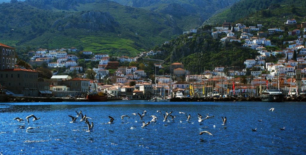Seagulls close to the Hydra Port. Credit: Nikos Laskaridis/Wikimedia Commons