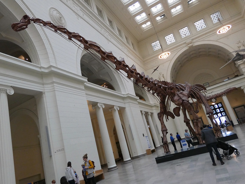 A giant long-necked titan dinosaur found in Europe.