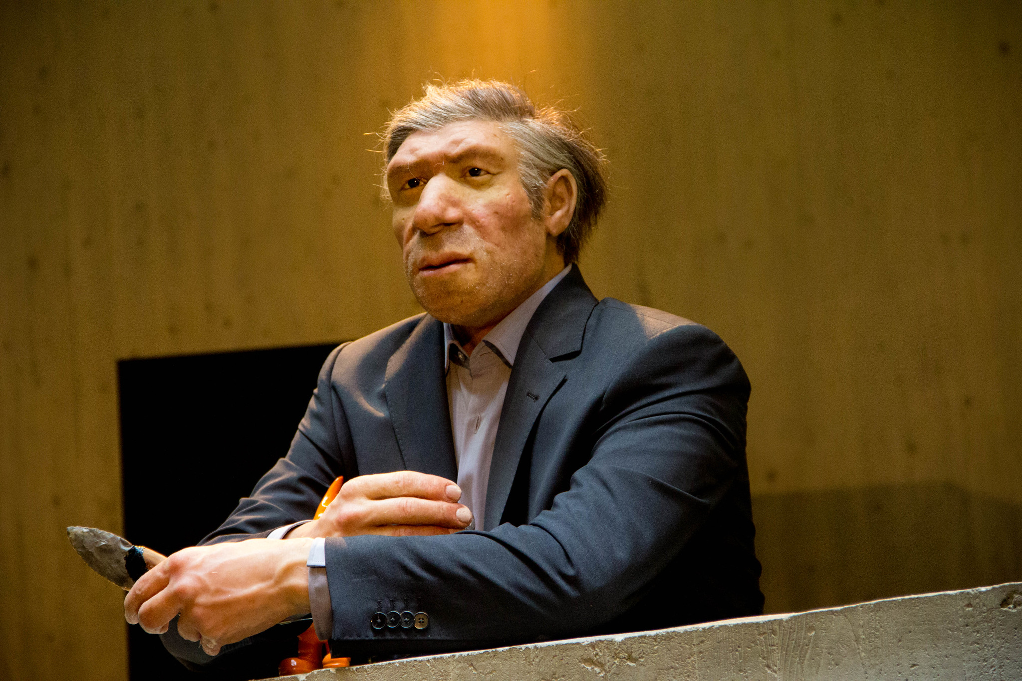 Europeans Have Less Neanderthal DNA
