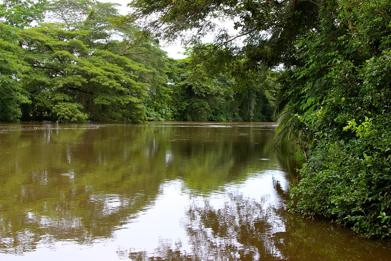 Rio Negro river, Amazon