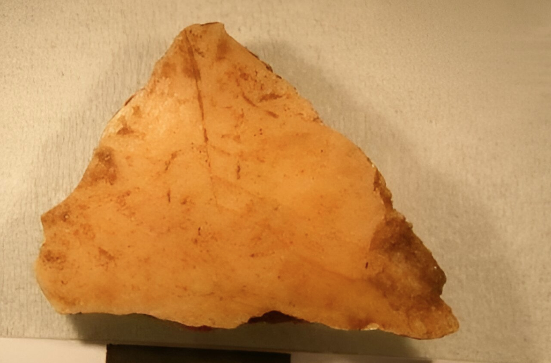 Skull fragment found at Buran Kaya III in Crimea