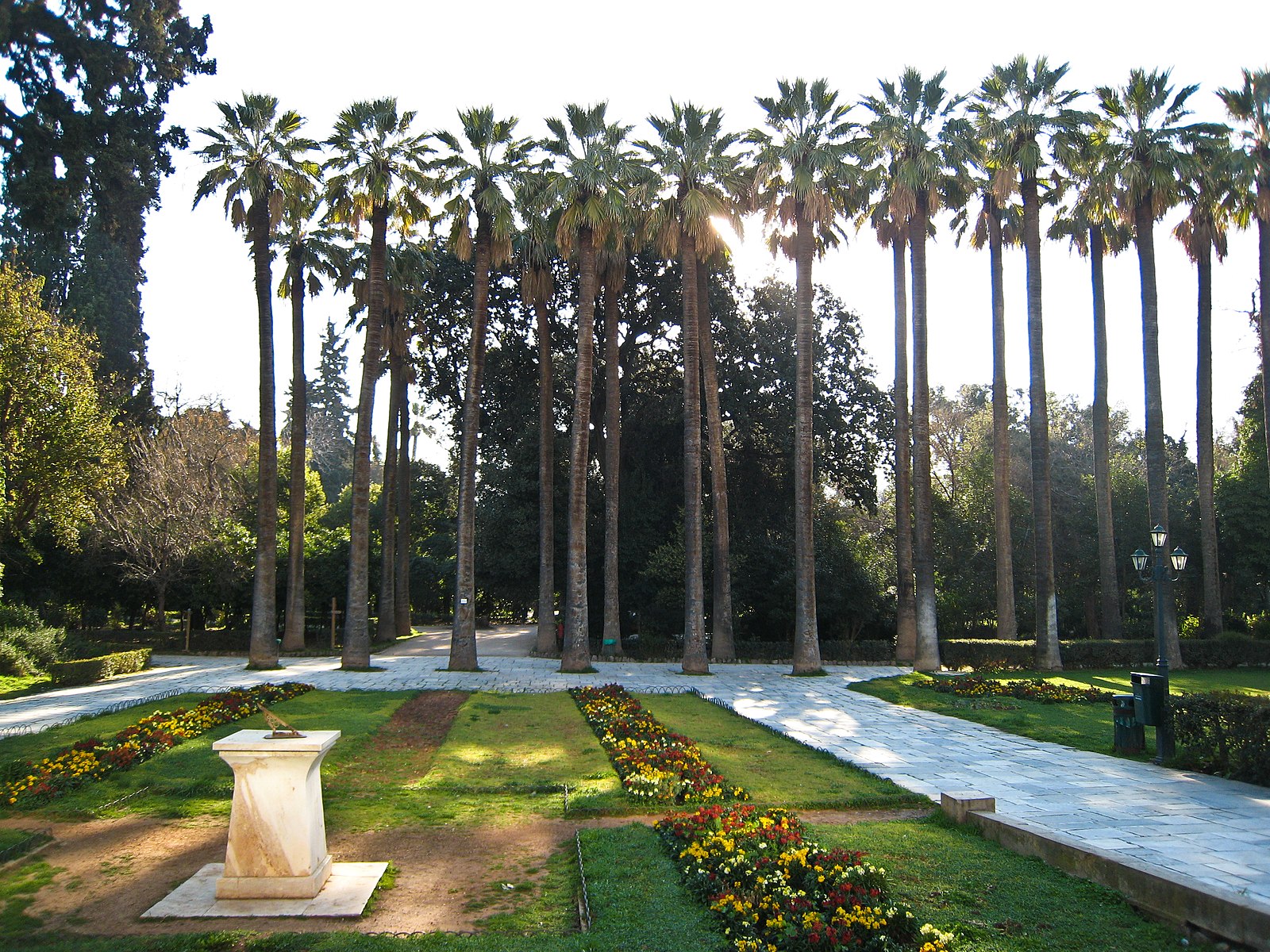 National Garden, palm trees, Athens