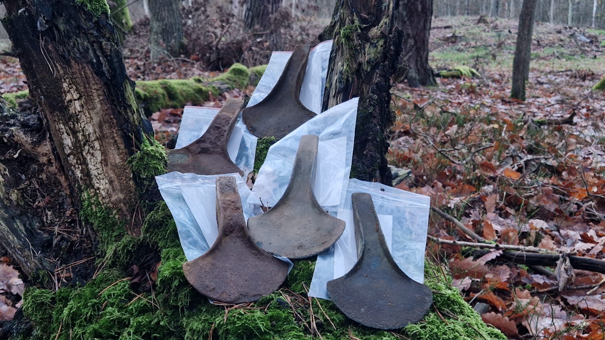 Five bronze age axes found in Kociewie