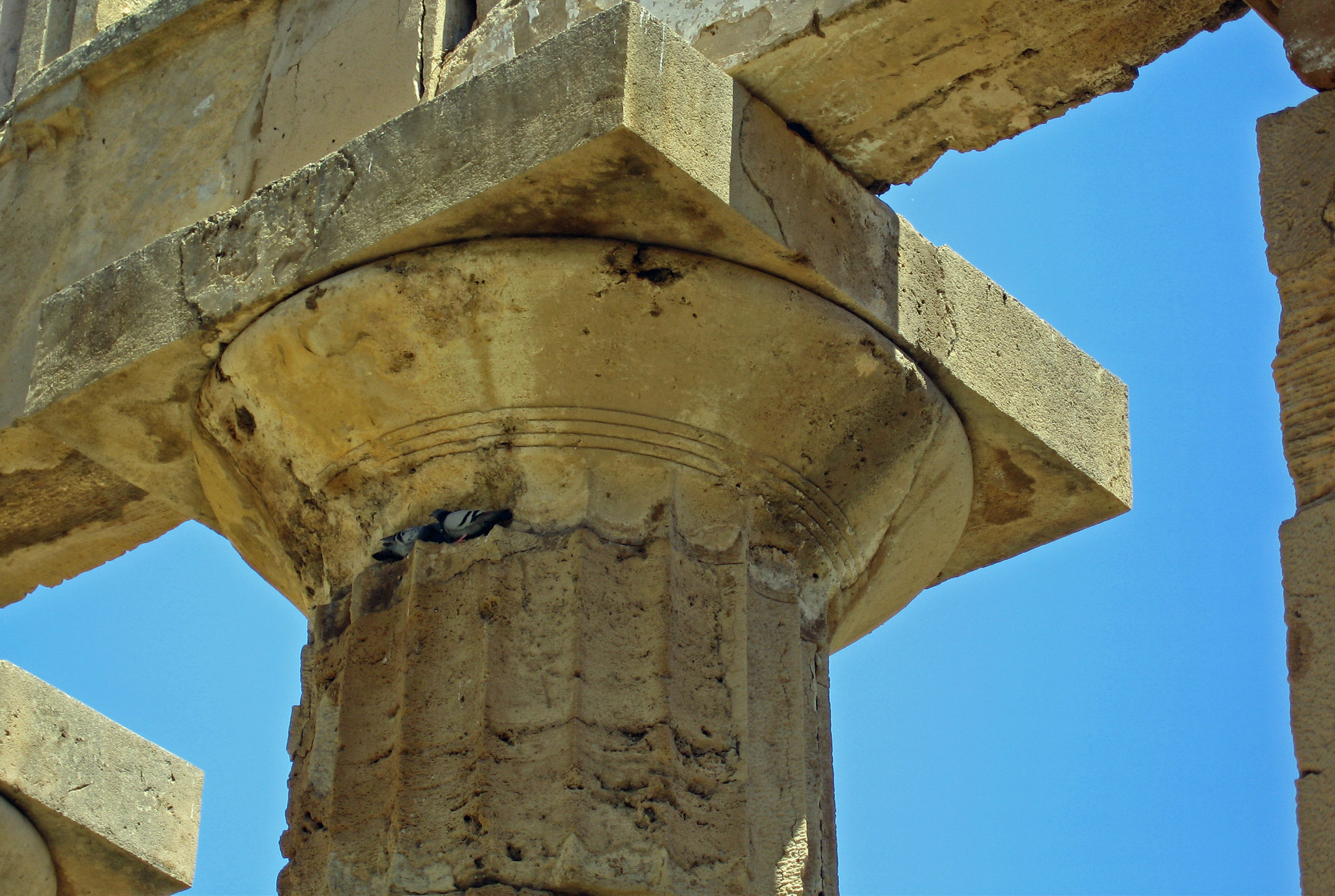 Doric Style column and capital of an temple of ancient Greece. 