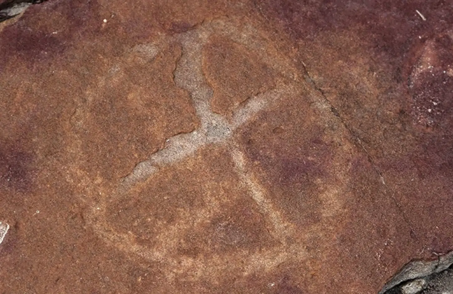 9,000-year-old rock art discovered in Brazil