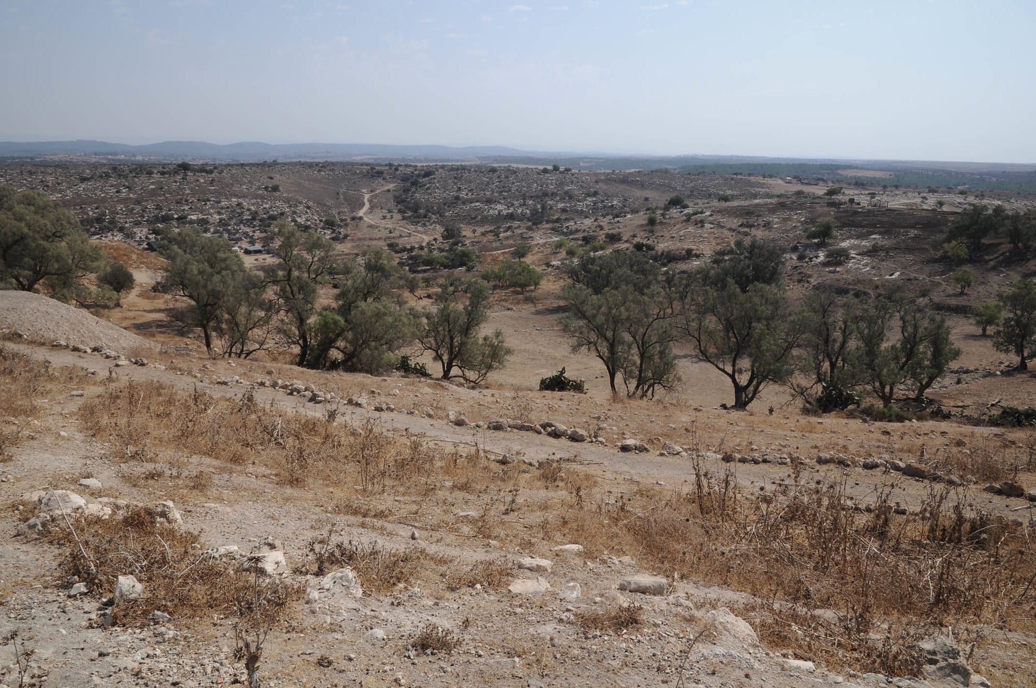 New study examining plant matter from two temples in Gath, one of the five cities of the Philistine pentapolis during the Iron Age, has revelaed the influence of ancient Greece on the Philistines.