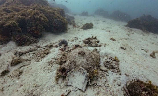 Ancient shipwrecks Greece
