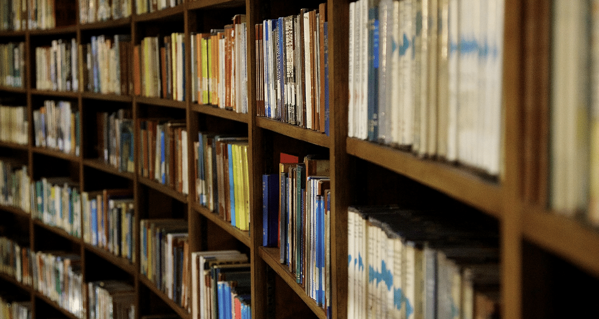 Library books in shelves