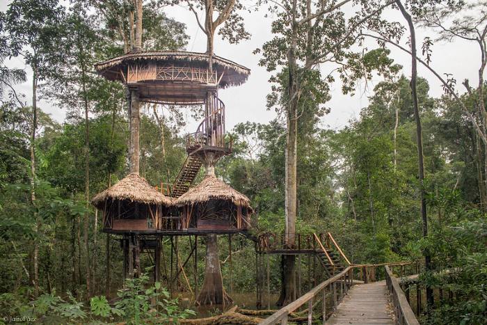 Amazon Colombia Macedonia Tree House