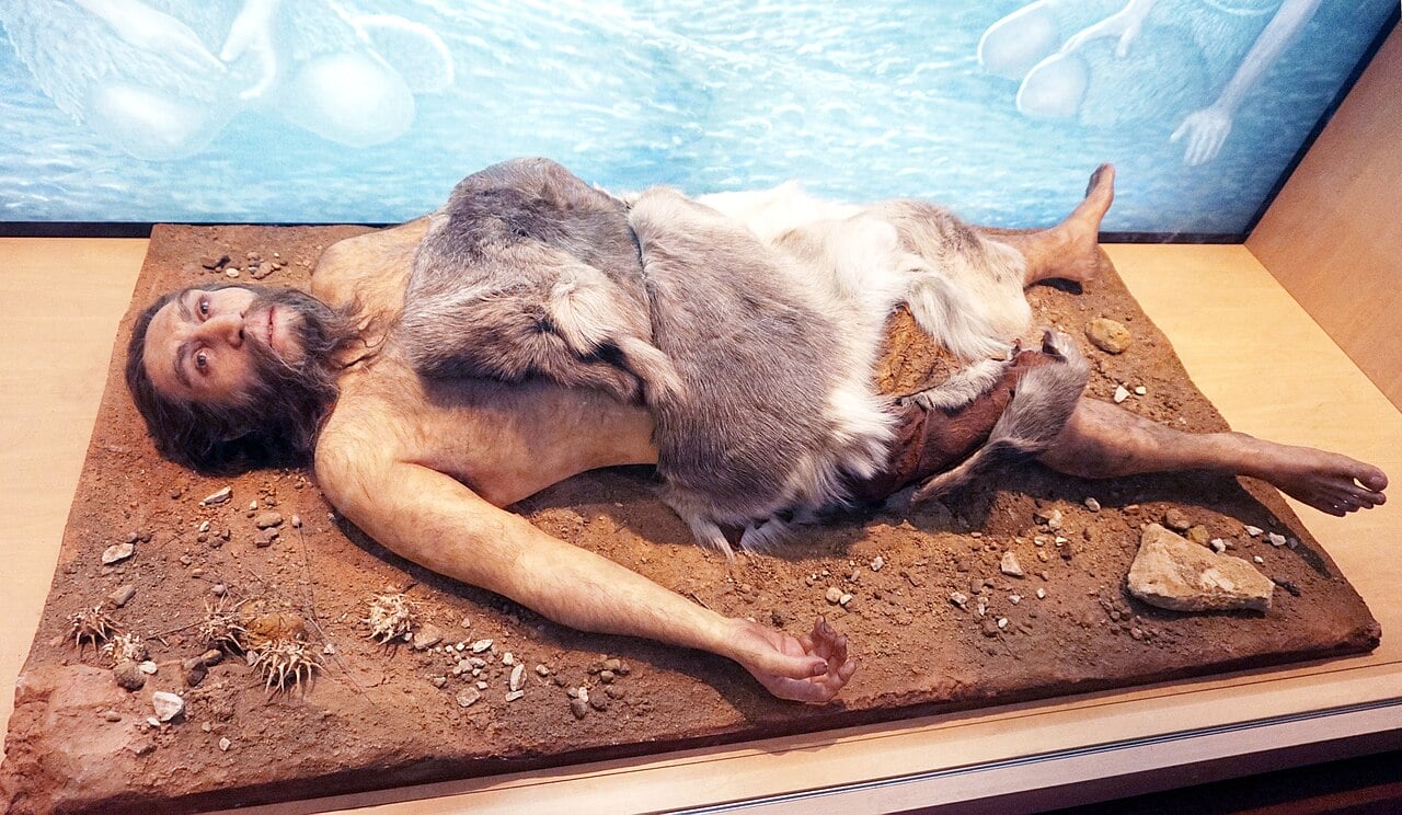 Neanderthals Experienced Population Crash 110,000 Years Ago, Study Reveals