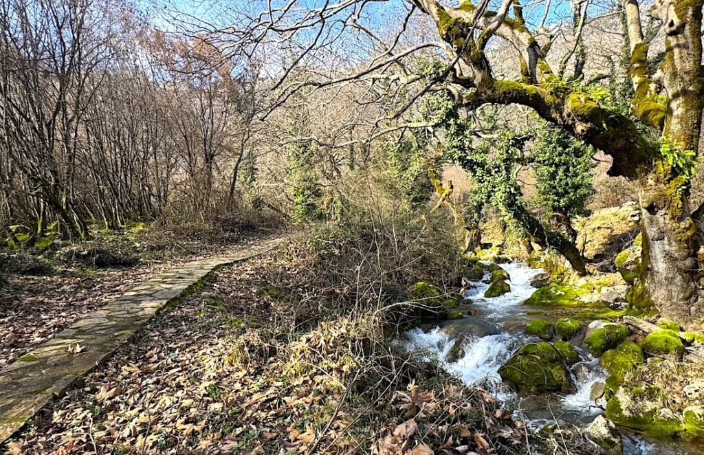 ancient Greek healing herbs