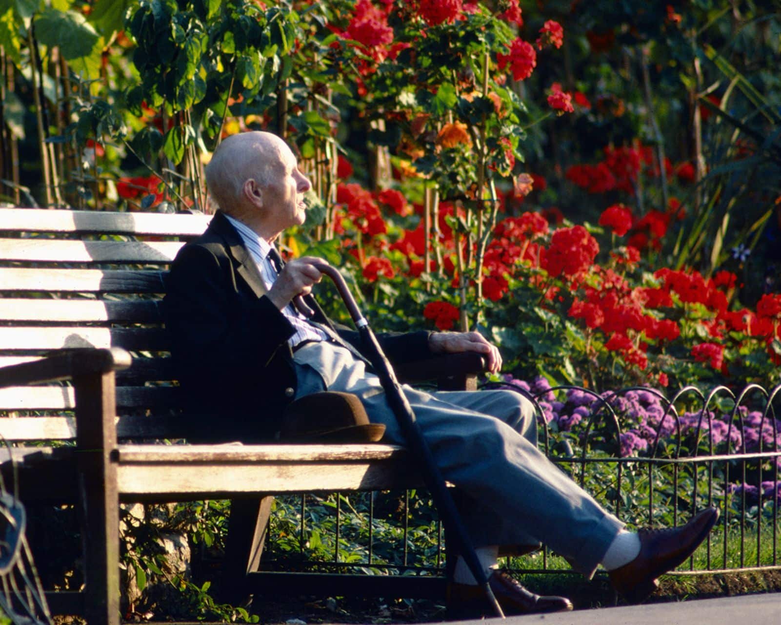 Early Alzheimer’s detection offers better treatment options, clarity, and support