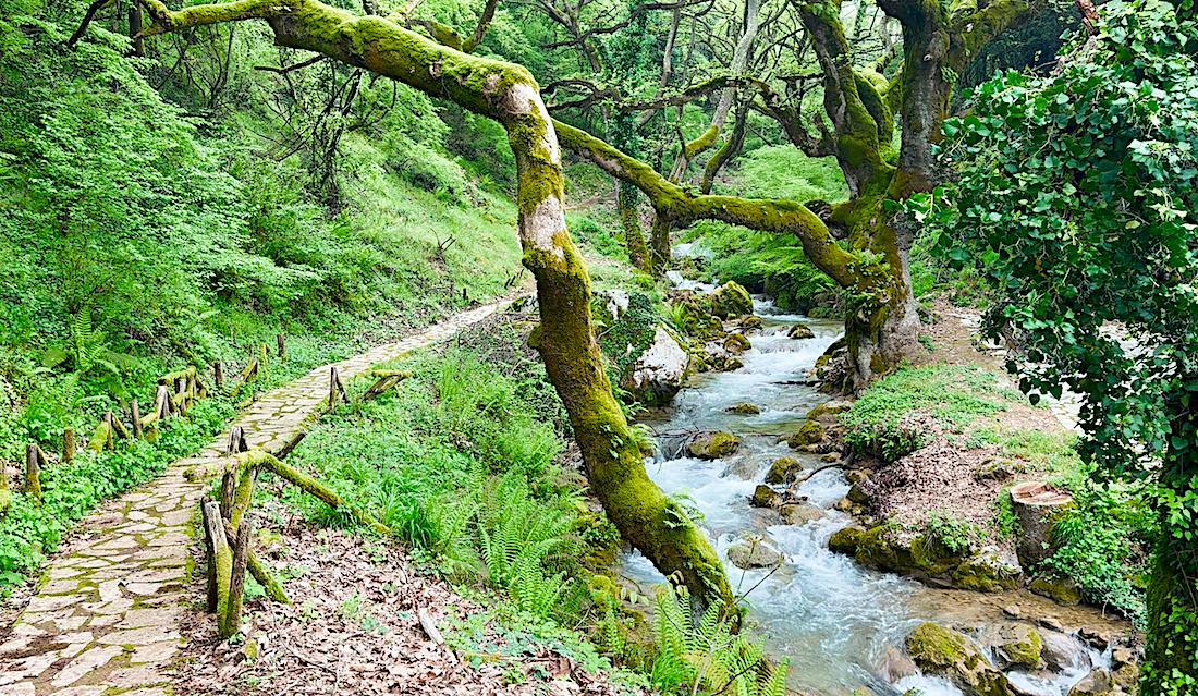 Asclepius Pharmacy: The Land Where Ancient Greek Healing Herbs Continue to Grow