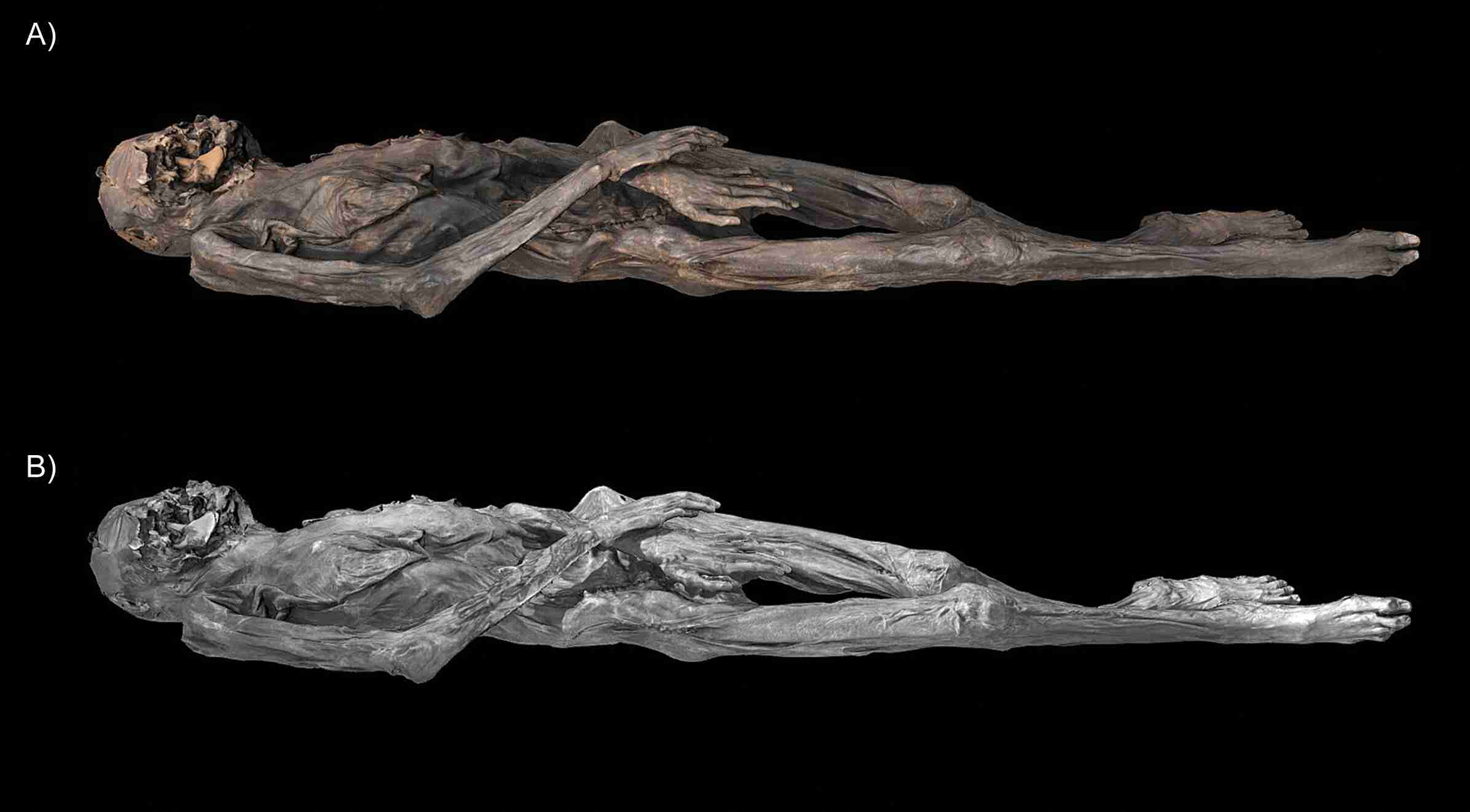 Photogrammetrically created 3D model of the female mummy from Pazyryk tomb 5