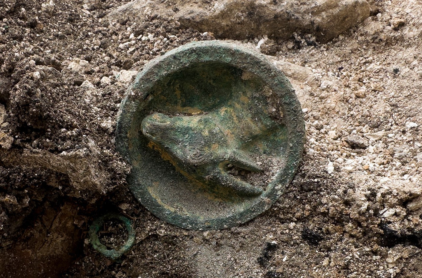 A bronze decorative fitting featuring a high-relief animal motif