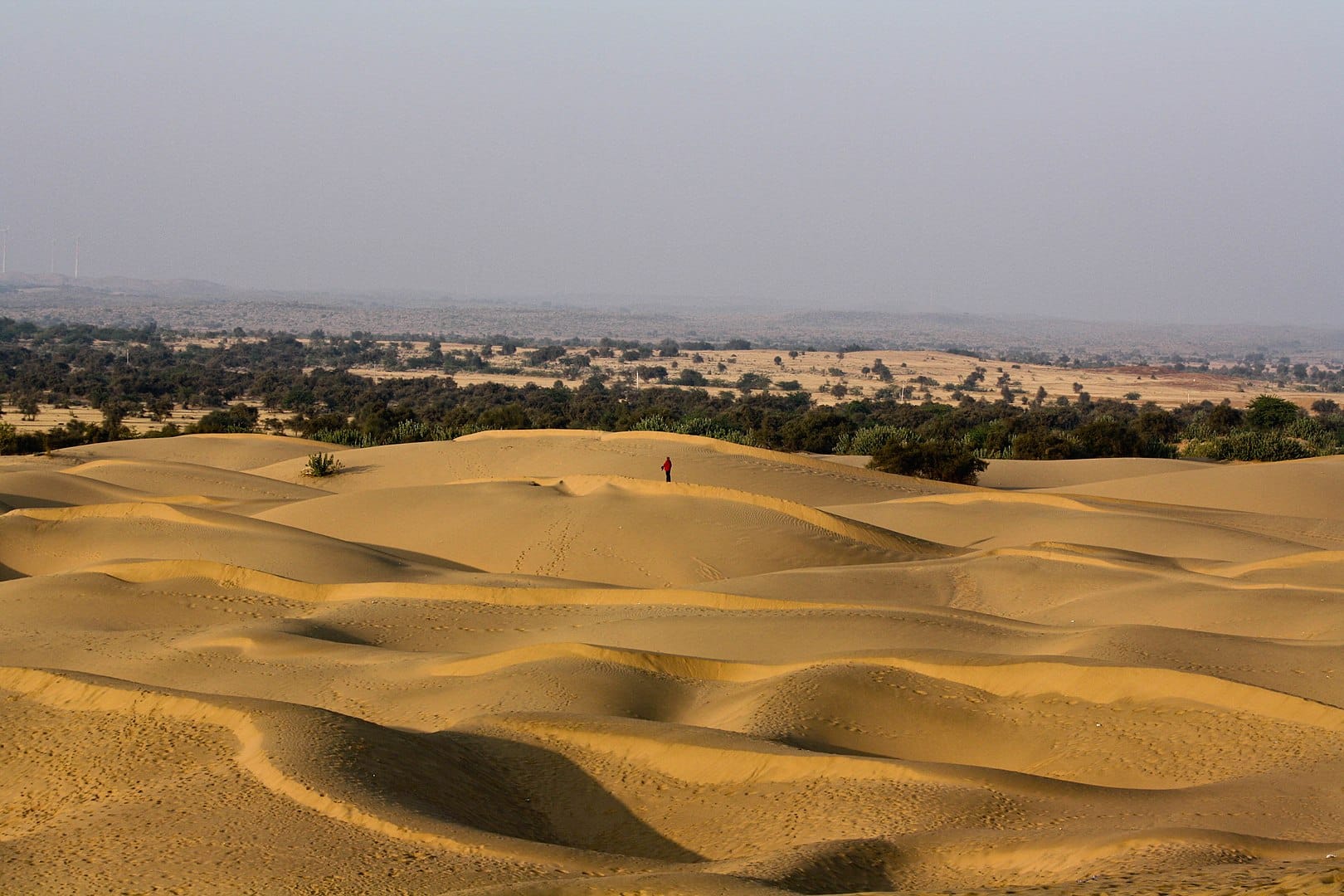 A lost Harappan settlement discovered near the India-Pakistan border