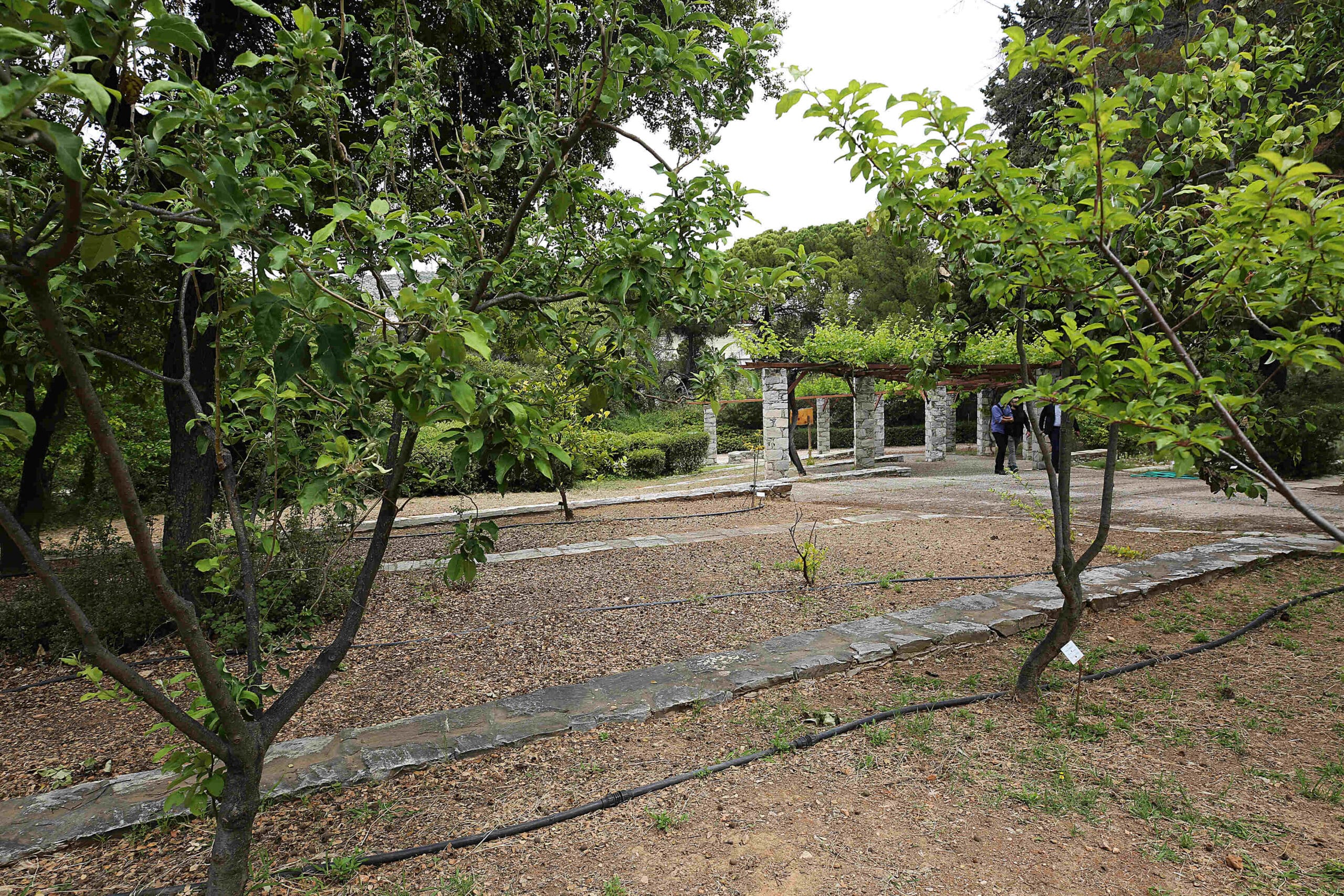 Diomedes Garden makes the list of top gardens in Europe