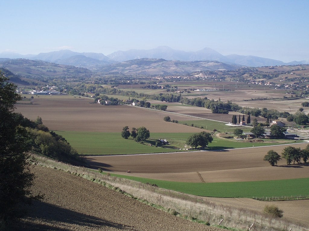Archaeologists Uncover Roman Production District in Ancient City of Suasa, Italy