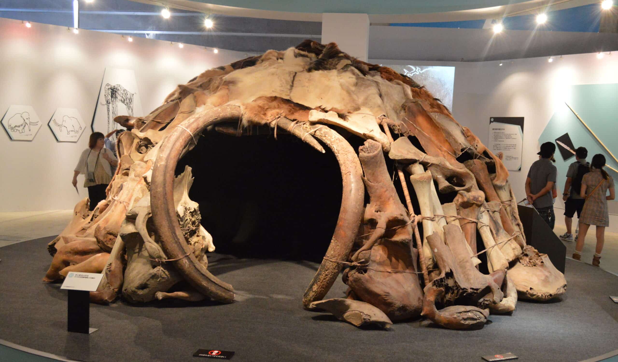 Mammoth-bone Structure by hunter gatherers