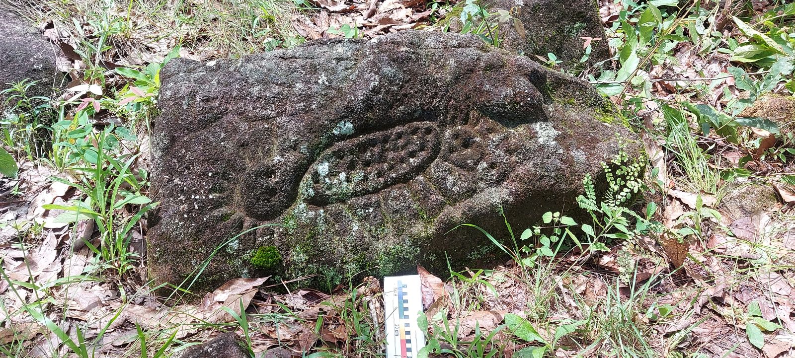Ancient Indigenous Monument With Mysterious Carvings Discovered in Mexico