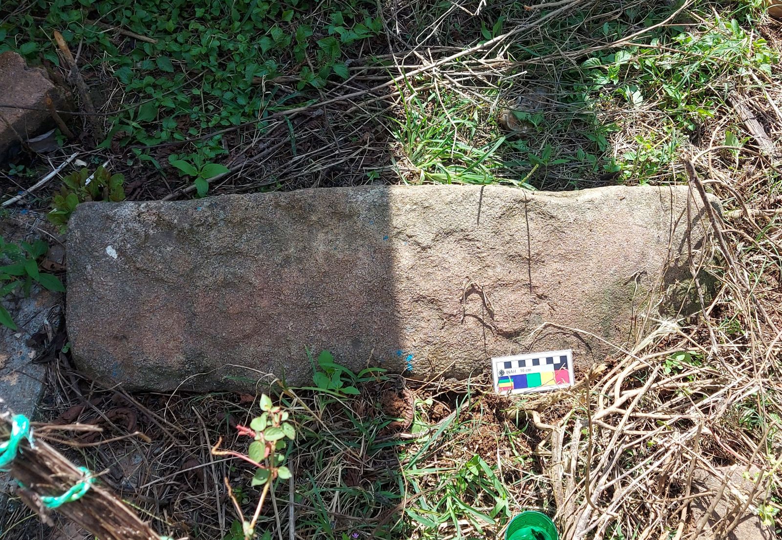 Mysterious Indigenous Carvings Mexico