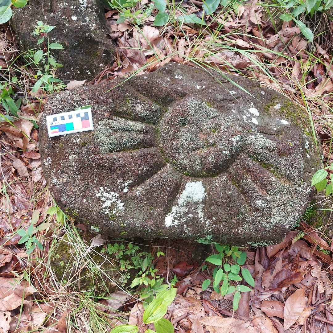 Mysterious Indigenous Carvings Mexico