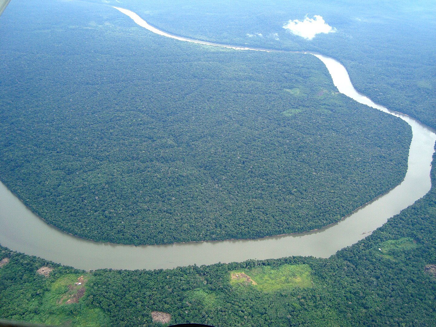 Brazil’s Amazon Nears Tipping Point After Losing Forest Area the Size of Spain