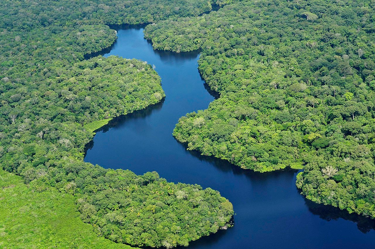 Aerial presumption    of the Amazon River and Rainforest