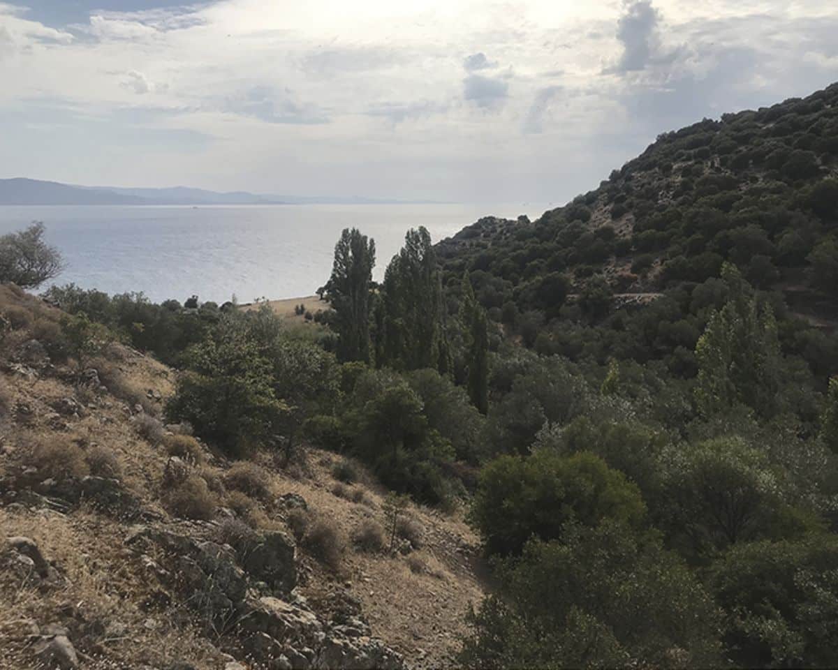 Biber Deresi basin