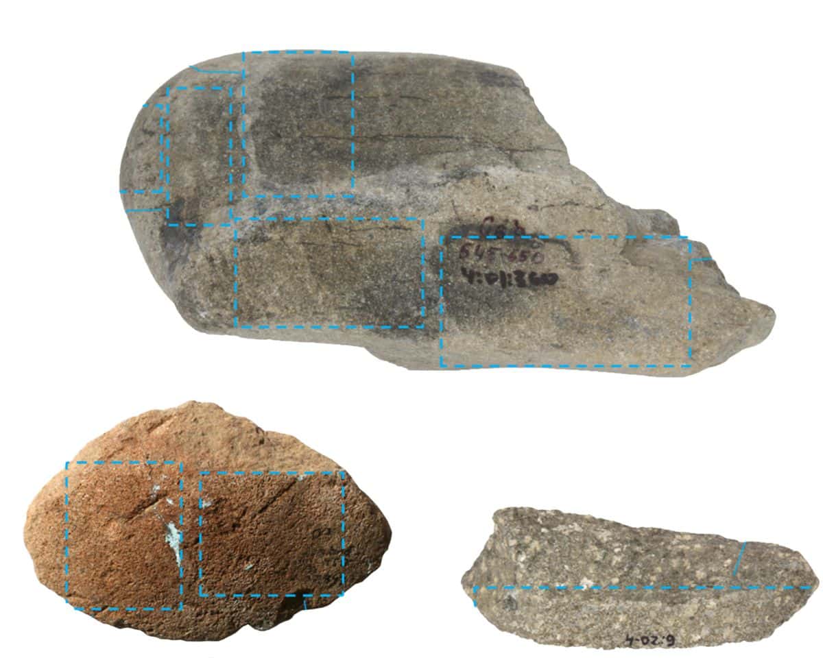 Traces of blue indigo dye found on ancient tools