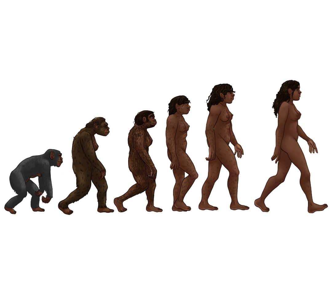 AI Generated Newscast About Human Evolution Will Shock You: Culture Replaces Genetics!