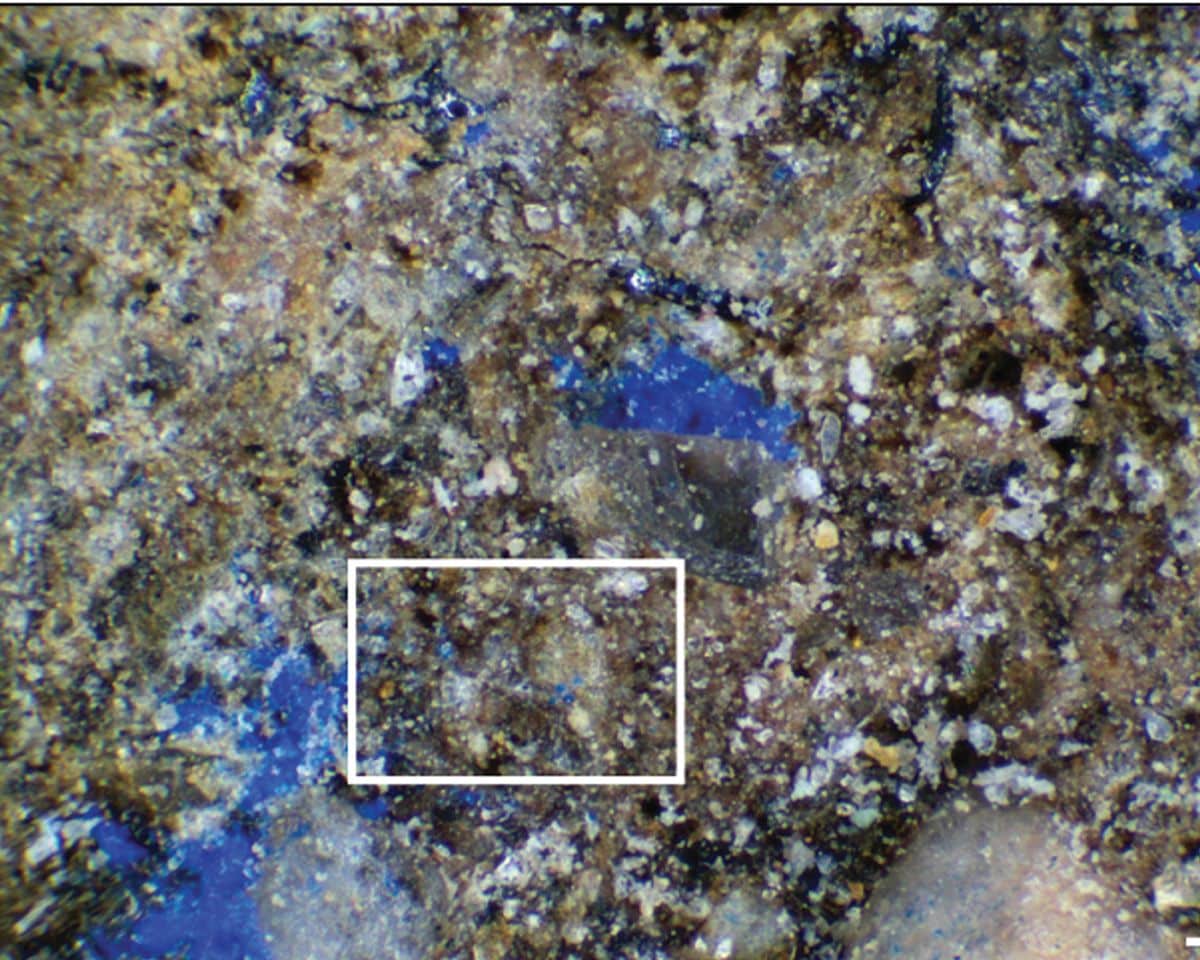 Microscopic image of nano-sized specks of blue residue
