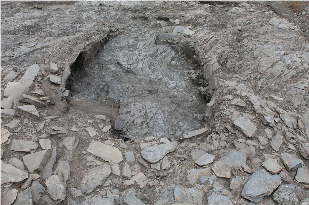 Tomb 8 astatine  Los Milanes successful  Spain