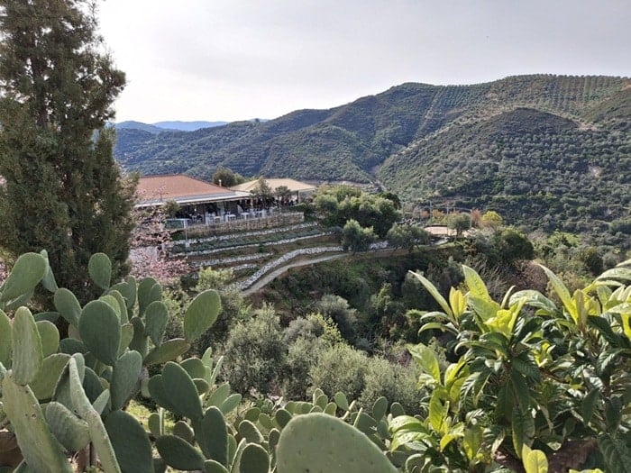 Botanical Park Crete