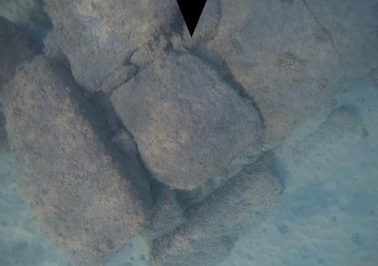 Densely constructed masonry of Structure VIII submerged