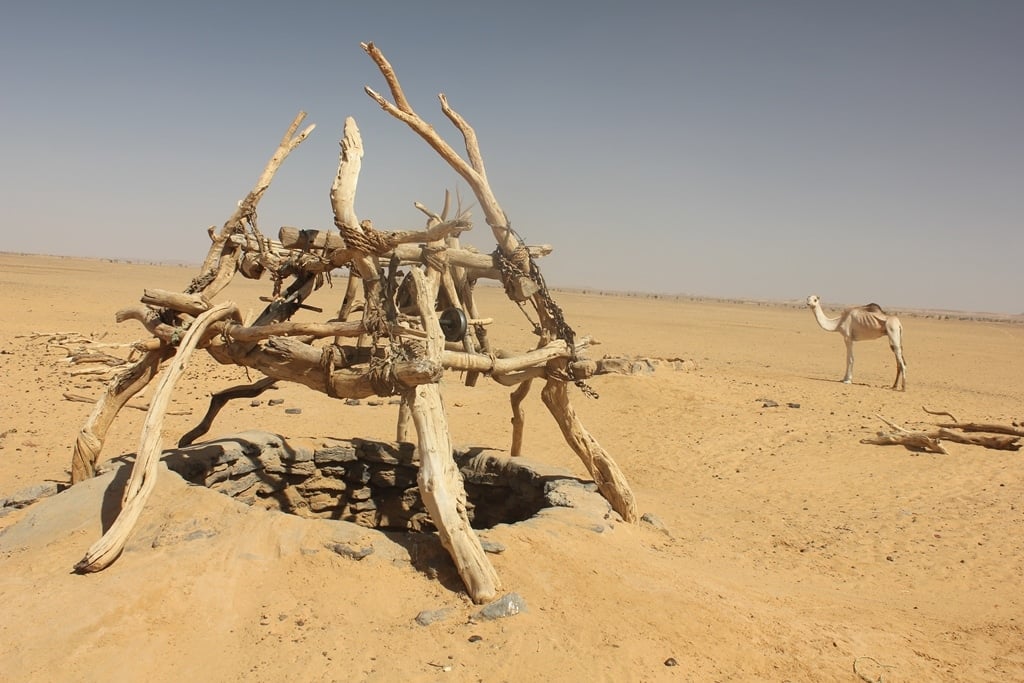 4,000-Year-Old Burial Sheds Light on a Forgotten Nile Civilization