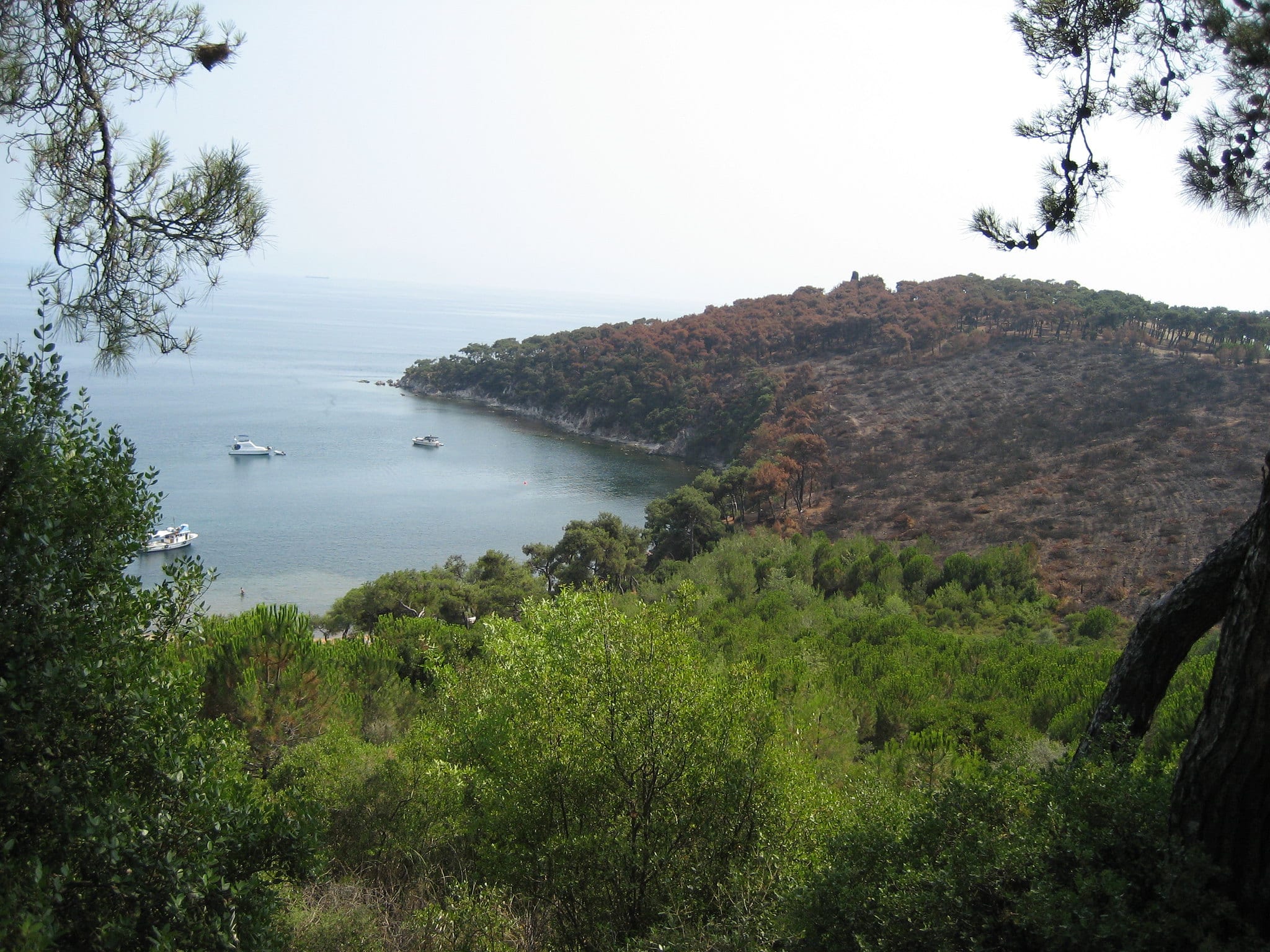 Underwater Discovery Near Istanbul Confirms Aristotle’s Account of 2,300-Year-Old Copper Mine