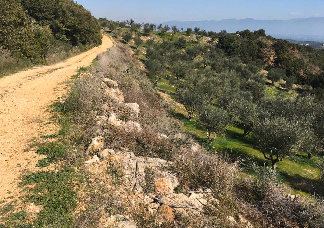 Large limestone blocks at the side of the potential Pylos-Nichoria Road