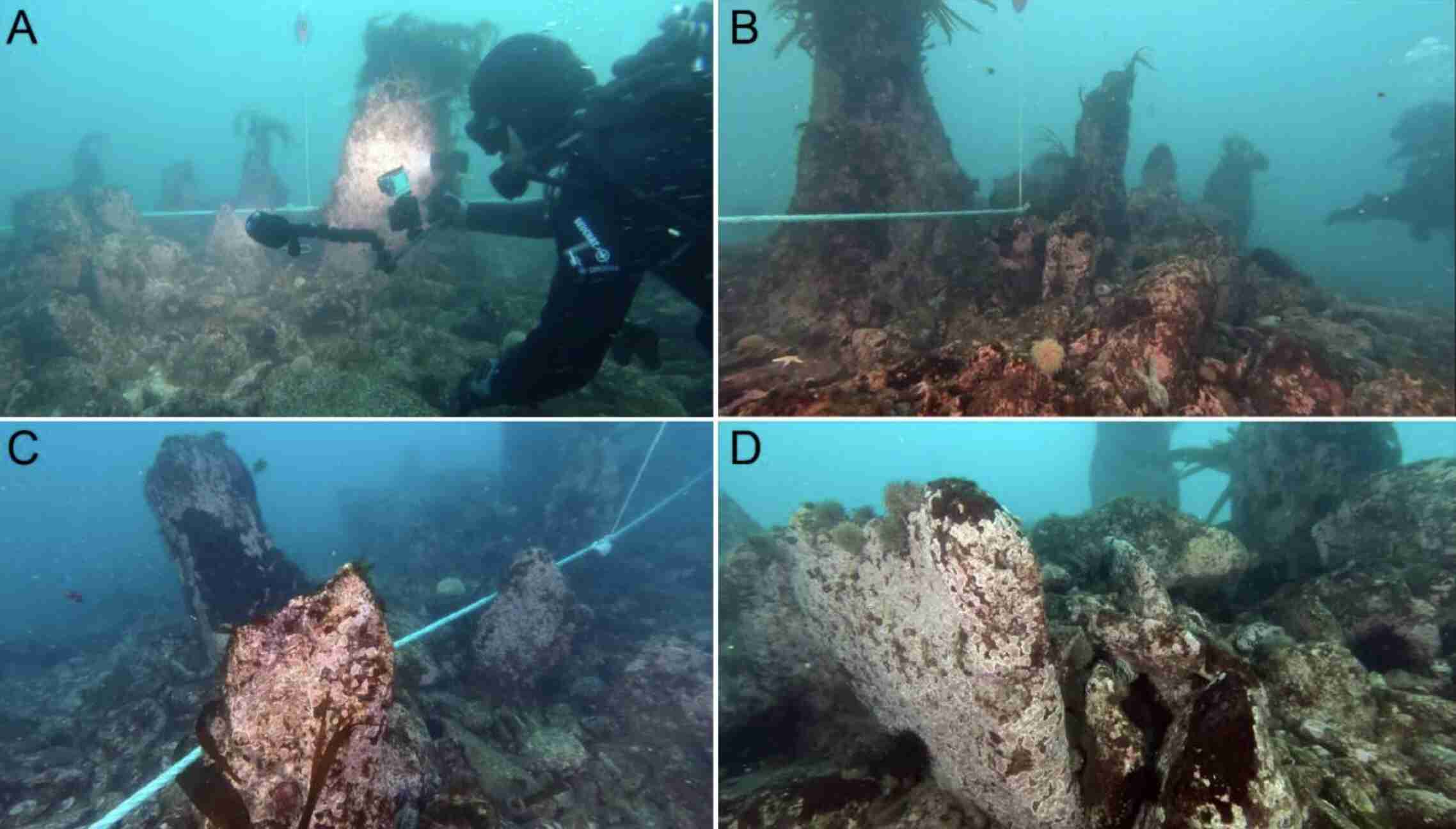 Archaeologists Discover 7,000-Year-Old Undersea Wall in France