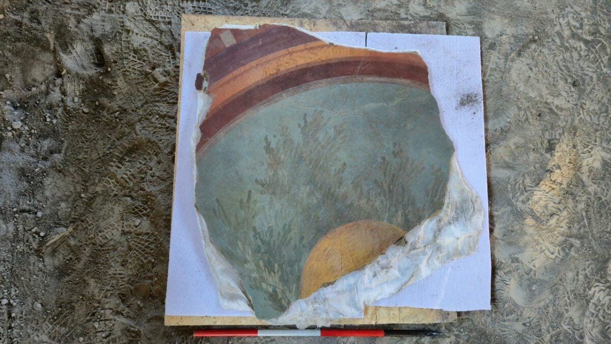 A preserved fresco fragment