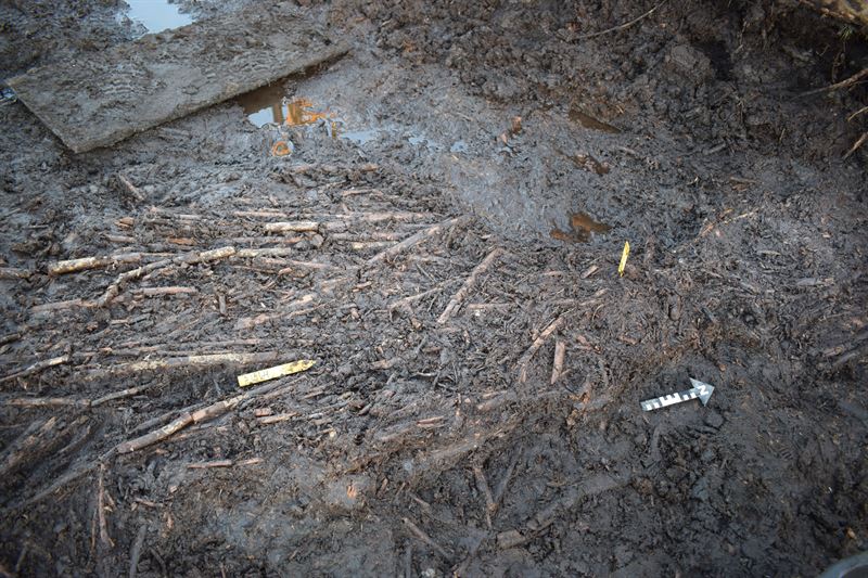 The fishing trap lay on the former lakebed and was made of intertwined wicker