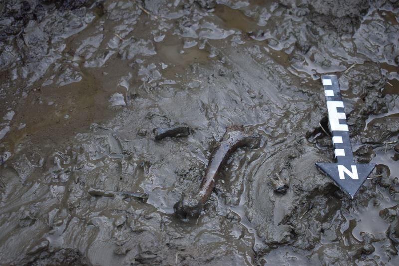 The remains were found at the bottom of the ancient lake, preserved in waterlogged mud