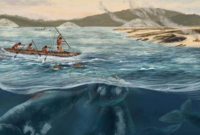 Whale Hunting in South America Began 5,000 Years Ago, Study Finds