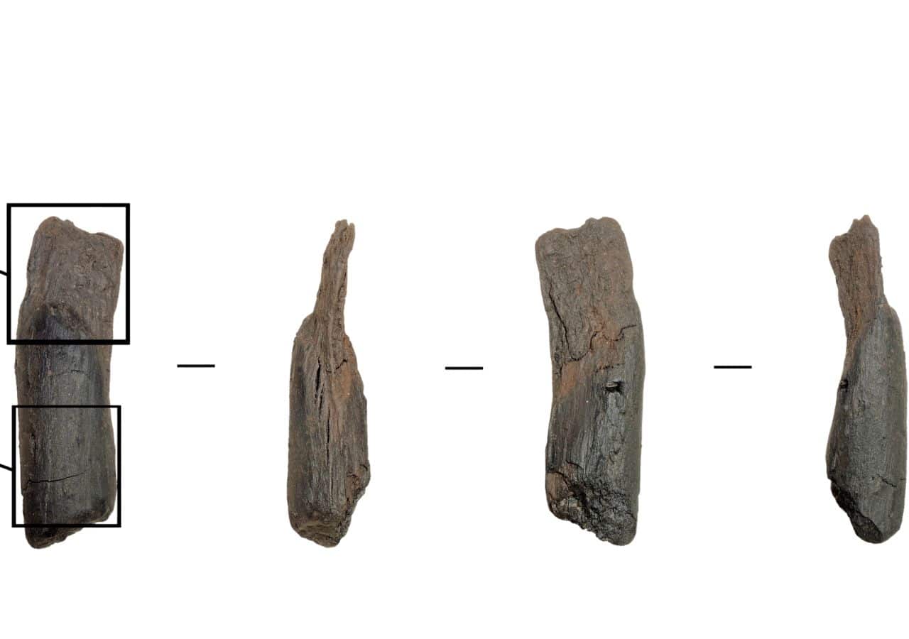 430,000-Year-Old Wooden Tools Unearthed in Greece Are the Oldest Ever Found