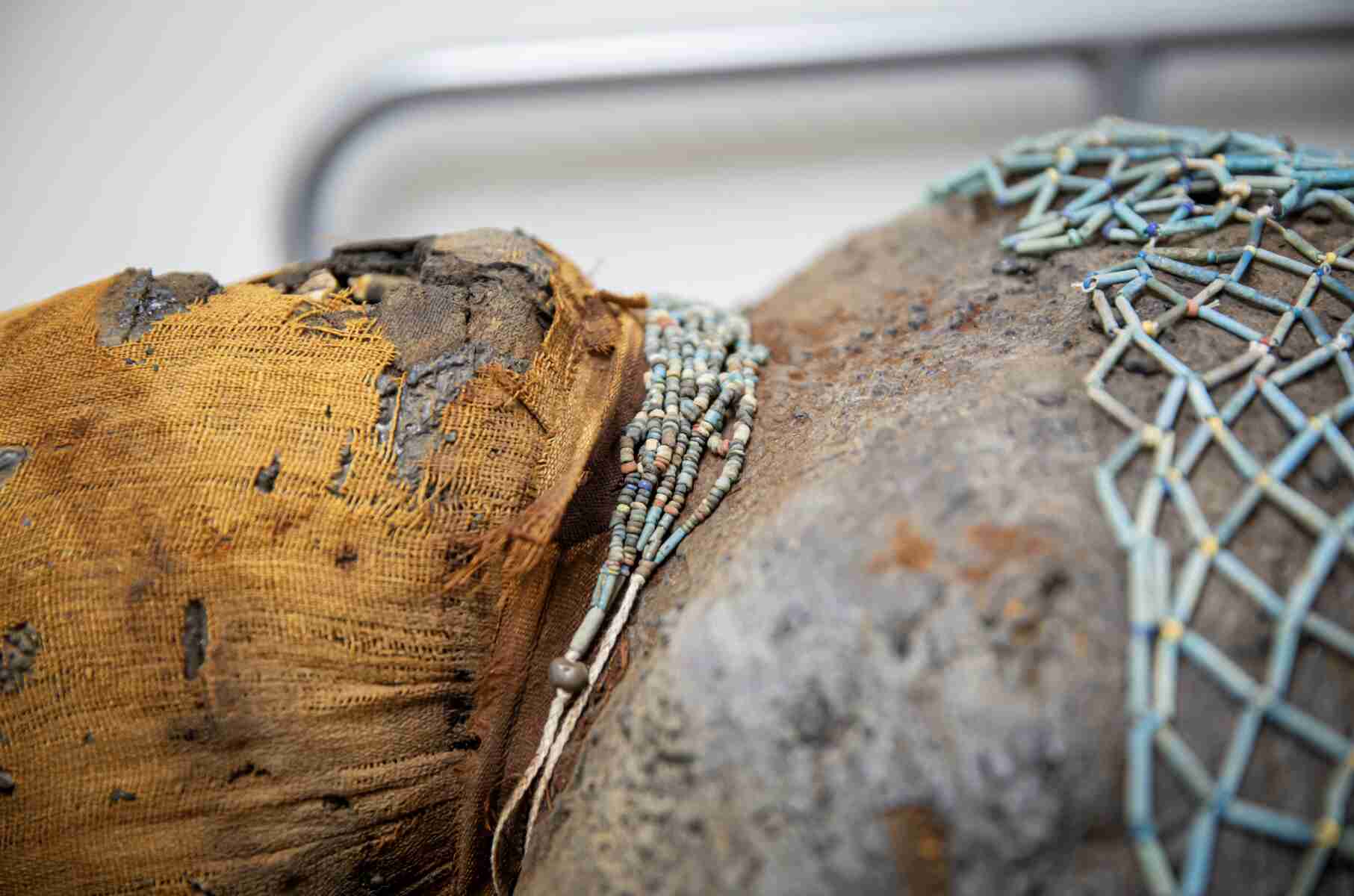 CT Scans Reveal the Health and Lives of Ancient Egyptian Priests