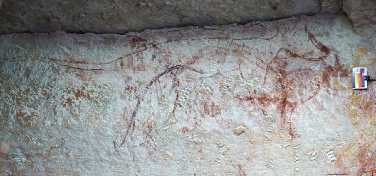 Ancient Rock Art Sheds New Light on the Lost Tasmanian Tiger’s Presence in Australia