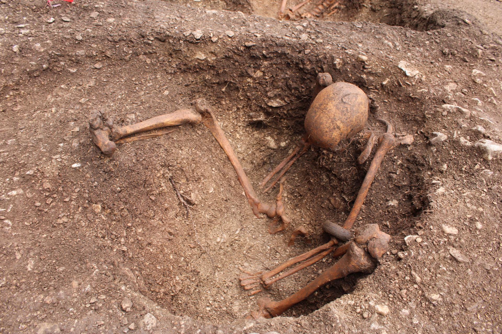 Celtic Warriors Buried ‘Sitting Upright’ Discovered in France