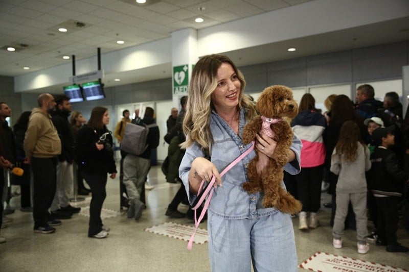 dogs repatriated Greece