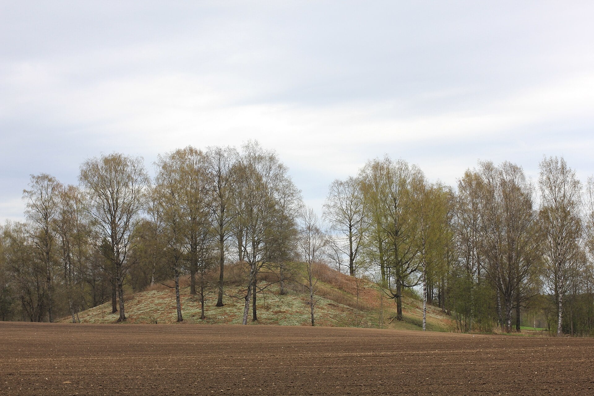 Scandinavia’s Largest Mound Likely Built as A Disaster Monument, Not for Burial