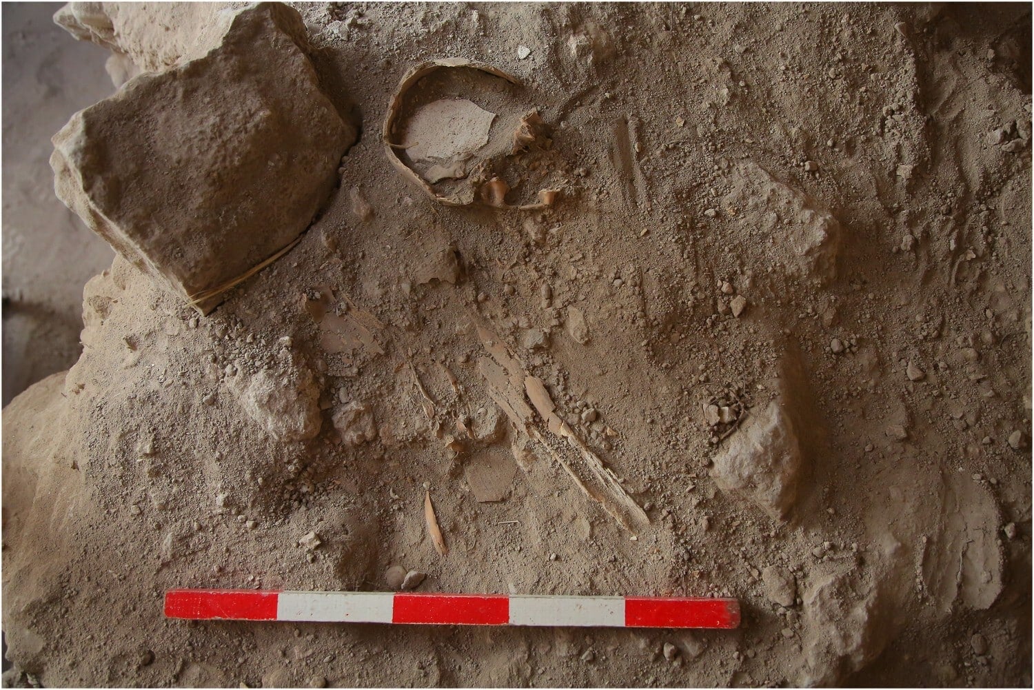 2,500-Year-Old Mass Grave of Infants Found in Israel